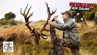 Hunting Giant Red Stag amp Sika Deer in New Zealand [upl. by O'Hara]