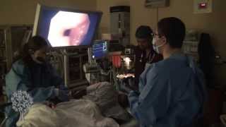 UMCs 1000th Endoscopic Ultrasound [upl. by Dinse]