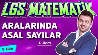 ARALARINDA ASAL SAYILAR  8Sınıf Matematik 8Ders [upl. by Aihsenod]