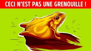 11 Illusions Doptique Qui Révéleront Quel Est Ton Type de Personnalité [upl. by Veron]