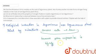 We find that Rhizobium forms nodules on the roots of leguminous plants Also Frankia another microbe [upl. by Arte]