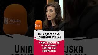 NIE ŻYCZĘ SOBIE aby Unia Europejska SZANTAŻOWAŁA POLSKĘ [upl. by Oivlis]