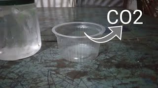 how to make CO2 gas at home [upl. by Dorice]