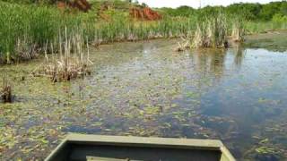 Okie Gator Airboat Experience [upl. by Dupin]