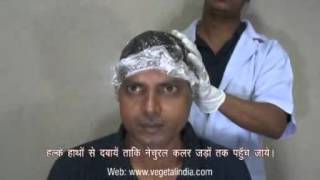 Vegetal Bio Colour Application Video Hindi [upl. by Osswald]