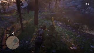 Red Dead Redemption 2 Story Mode Homing Tomahawk Recipe Location [upl. by Ho949]