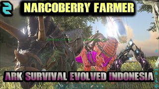 Ark Survival Evolved Indonesia 2 Saat nya di mulai Taming [upl. by Ha]