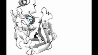 MD simulation reproduces crystallographic trypsinbenzamidine complex by free ligand binding [upl. by Nylavad589]