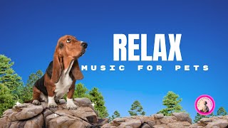 Relaxing Music for Dogs  Calming Sounds to Help Your Pet Relax [upl. by Hawker305]