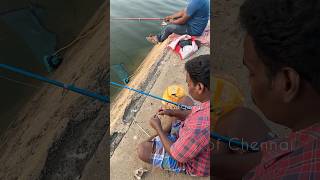 Chembarambakkam Lake Fishing💥🐠 chembarambakkamlake fishing virelshorts fishcutting fish [upl. by Lymann604]