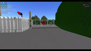 2828 Vicarage Road Level Crossing [upl. by Haelak]