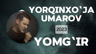 Yorqinxo‘ja Umarov  Yomg‘ir Lyrics  QOʻSHIQ MATNI • QOʻSHIQ SOʻZLARI • LYRIC CLIP [upl. by Franciskus518]