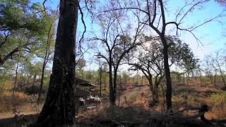 Mjejane Game Reserve Explanatory Video [upl. by Orelee]