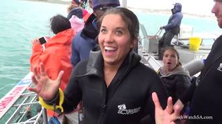 Gansbaai  Marine Dynamics Shark Cage Diving Experience [upl. by Ahsila]