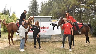 Hacettepe Üniversitesi Binicilik Topluluğunu Tanıyalım [upl. by Lrae]