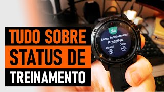 Tudo Sobre STATUS DE TREINAMENTO Garmin [upl. by Enaitsirk]