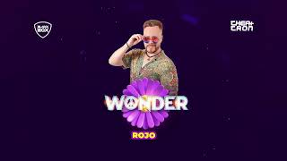 Dj Rojo  Wonder Night  Theatron Colombia  Video live set [upl. by Adnoel]