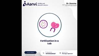 IVF StepByStep Process Your Comprehensive Guide [upl. by Etam]