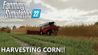 FARMING SIMULATOR 22  FINALLY GETTING TO HARVEST AND PLOW OUR FIELDS [upl. by Isola]