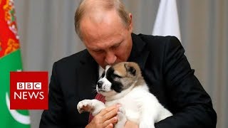 Putin got a puppy from Turkmenistan for his birthday  BBC News [upl. by Emili]