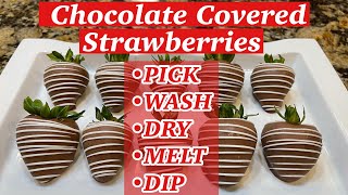 How To Make Chocolate Covered Strawberries [upl. by Llenrep]