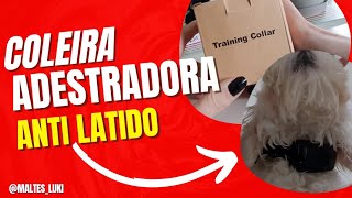 Coleira adestradora anti latido [upl. by Frederico]