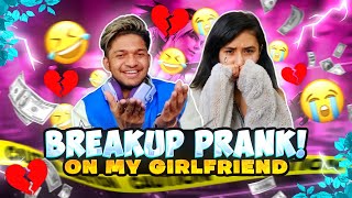 Breakup 💔 Prank With My Girlfriend The End My Last Video [upl. by Gregorius28]