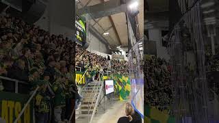 Björklöven ståplats IFBVIK [upl. by Amaj]