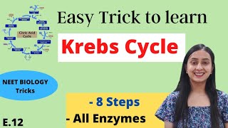 Easy Trick to learn Krebs Cycle  Funny Mnemonics [upl. by Nyleimaj]