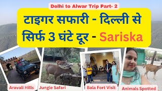 Sariska Safari  Delhi to Alwar Bala Fort Safari in Sariska Tiger Reserve Buffer Zone  Bala Quila [upl. by Draillih]