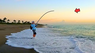 Tossed a Lure off the Beach and Caught a Bucket List Fish [upl. by Chadd287]