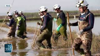 Alluvione Valencia trovati altri corpi Oltre 220 i morti [upl. by Kersten]