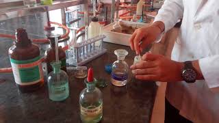 Test for Chloride ion in Lab by Seema Makhijani [upl. by Jollanta31]