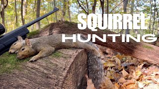 Hunting SE MN  Could This Be My Last Squirrel Hunt [upl. by Jeremy]