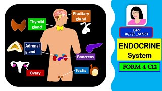 SPM BIOLOGY FORM 4 CHAPTER 12 126 ENDOCRINE SYSTEM [upl. by Yrennalf793]