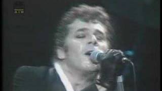 Ian Dury amp The Blockheads Sweet Gene Vincent [upl. by Etnoj]