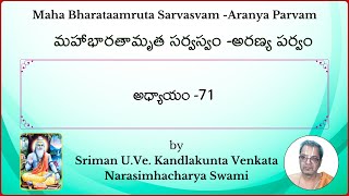 MahaBharatam Aranya Parvam Ch71 by Kandlakunta Venkata Narasimhacharya swami [upl. by Aronel]