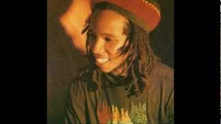 Ziggy Marley and the Melody Makers  Tumblin Down 12 Inch Remix Tom Tom Remix [upl. by Netnert]