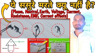 Phase Neutral Earth Voltage Current ResistanceEMFBirds ko Current Kyu Nahi Lagta [upl. by Thenna]