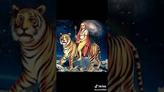 Sri malai mahadeshwara video song Kannada [upl. by Ynnol]