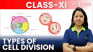 Cell cycle and cell division  Lecture  3  Types of cell division  Mitosis  Meiosis  NEET [upl. by Dleifniw405]