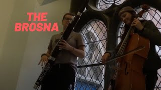 Irish Cello and Bassoon  The Brosna  Ilse de Ziah amp CBW [upl. by Ahsirtak]