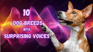 10 Dog Breeds with the Most Unique Sounds 🎶🐶🔊 [upl. by Eidob]