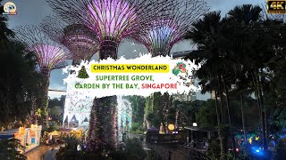 Christmas Wonderland at Gardens by the Bay  Rajas Click gardenbythebay nature xmas love [upl. by Hsizan]