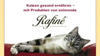 Katzenfutter Animonda Rafiné [upl. by Haziza26]