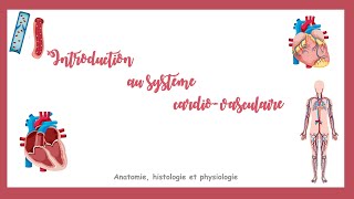 Introduction au système cardiovasculaire [upl. by Aruol]