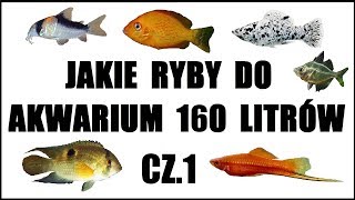 Jakie ryby do akwarium 160  200 litrów Część 1 Akwarystyka [upl. by Iow946]