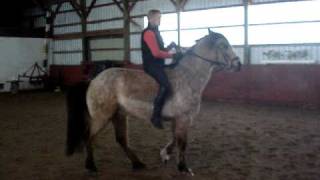 Teaching a Horse to Rear [upl. by Zach]