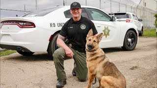 Inside CDCR K9 teams patrol state prisons [upl. by Stedt919]