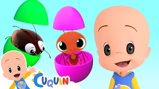 Surprise Eggs Animals  Cuquin’s Orange Ball  Cleo amp Cuquin  Learning [upl. by Aiceled295]